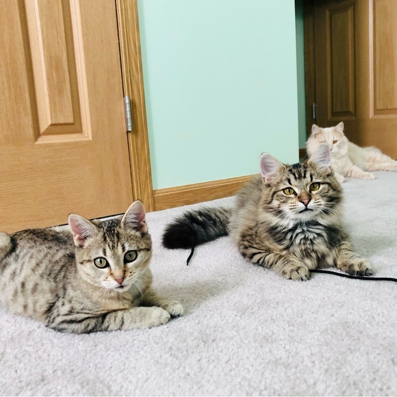 Meet your Posher, Kim - Picture 11 of 15